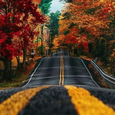 匈牙利外长：即日起逐步停止向乌克兰输送天然气