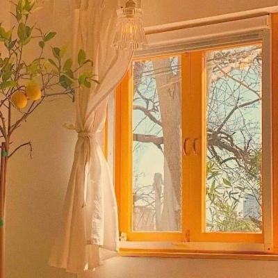 24名中国游客在加拿大因交通事故受伤