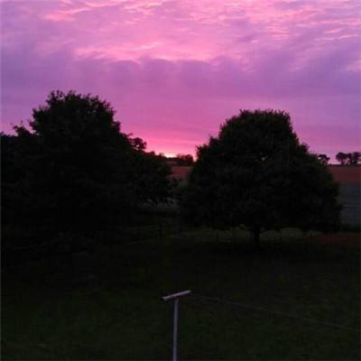 3.21电工节丨驭电无限，感谢每一...