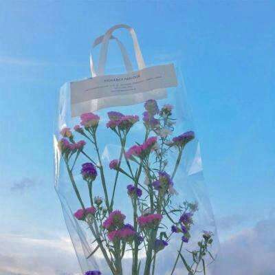 多米体育官方版